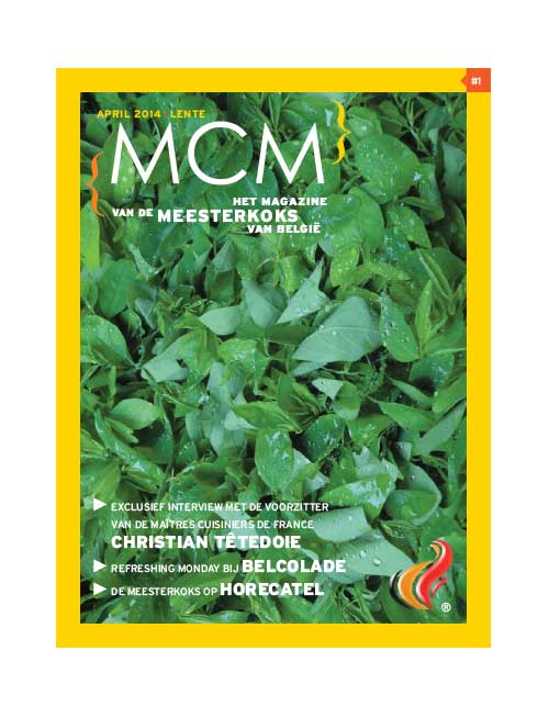MCM-magazine-1