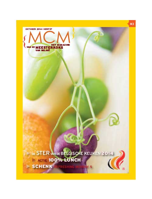 MCM-magazine-3