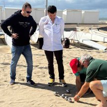 Petanque-mastercooks-2025