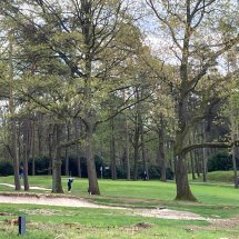 Mastercooks-golf-2026