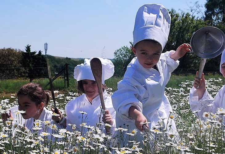 Les Petits Chefs en herbe 